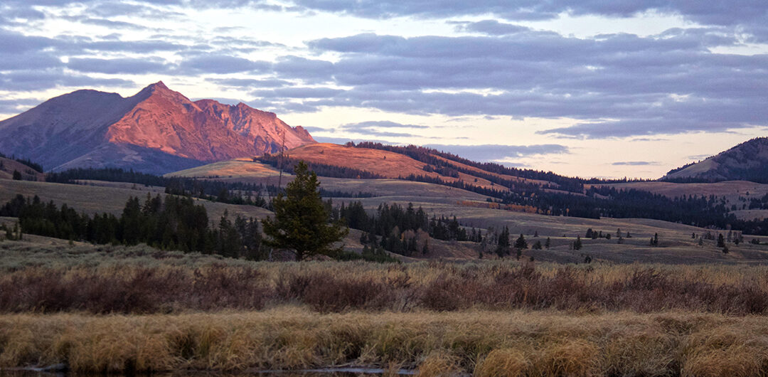 photography tours yellowstone